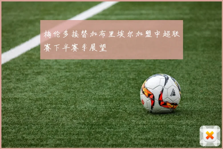 梅伦多接替加布里埃尔加盟中超联赛下半赛季展望